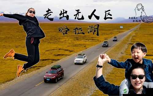 无人区卡一卡二卡三麻豆精品：极致视觉盛宴等你来赏