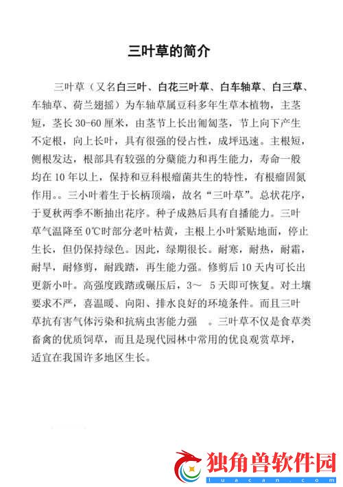 三叶草