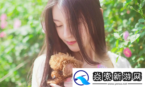 91网站入口