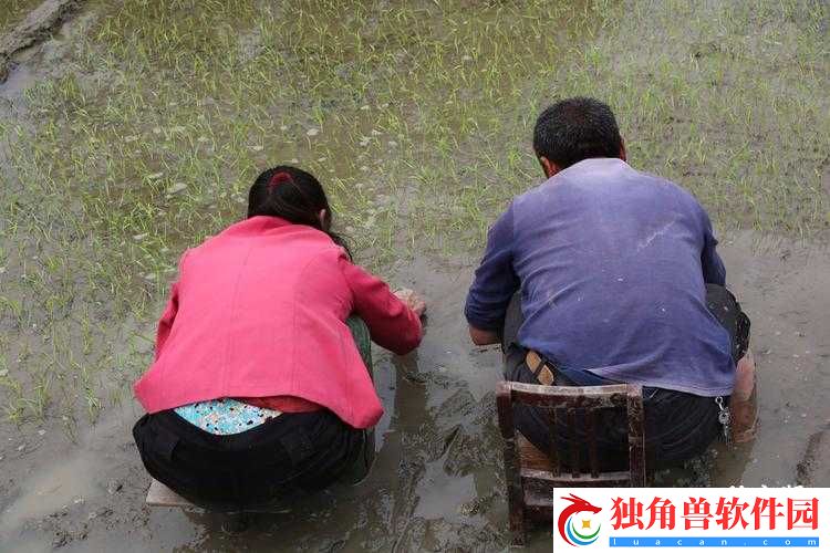夫妻