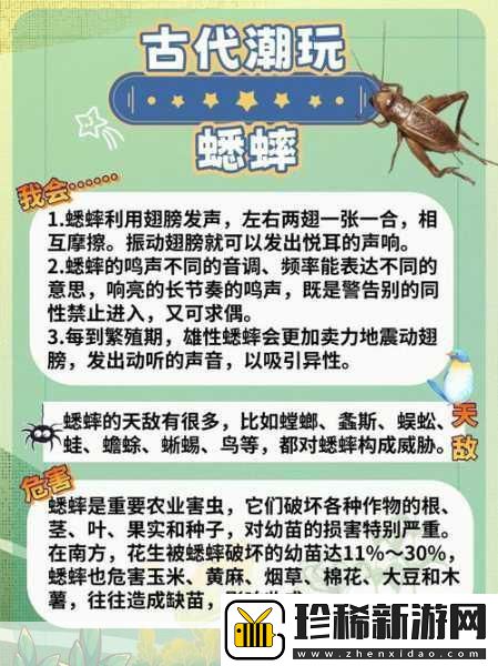 烟雨江湖曲院促织任务全攻略解锁斗蛐蛐的乐趣与挑战