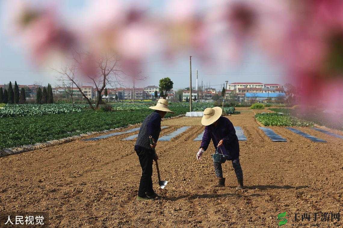 耕种母亲肥沃的土地:一段饱含深情与汗水的耕耘之旅