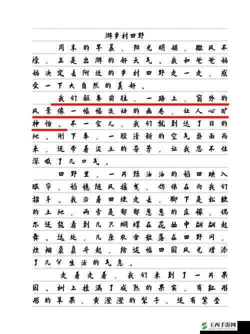 里面填得满满的:探索其背后所蕴含的丰富内涵