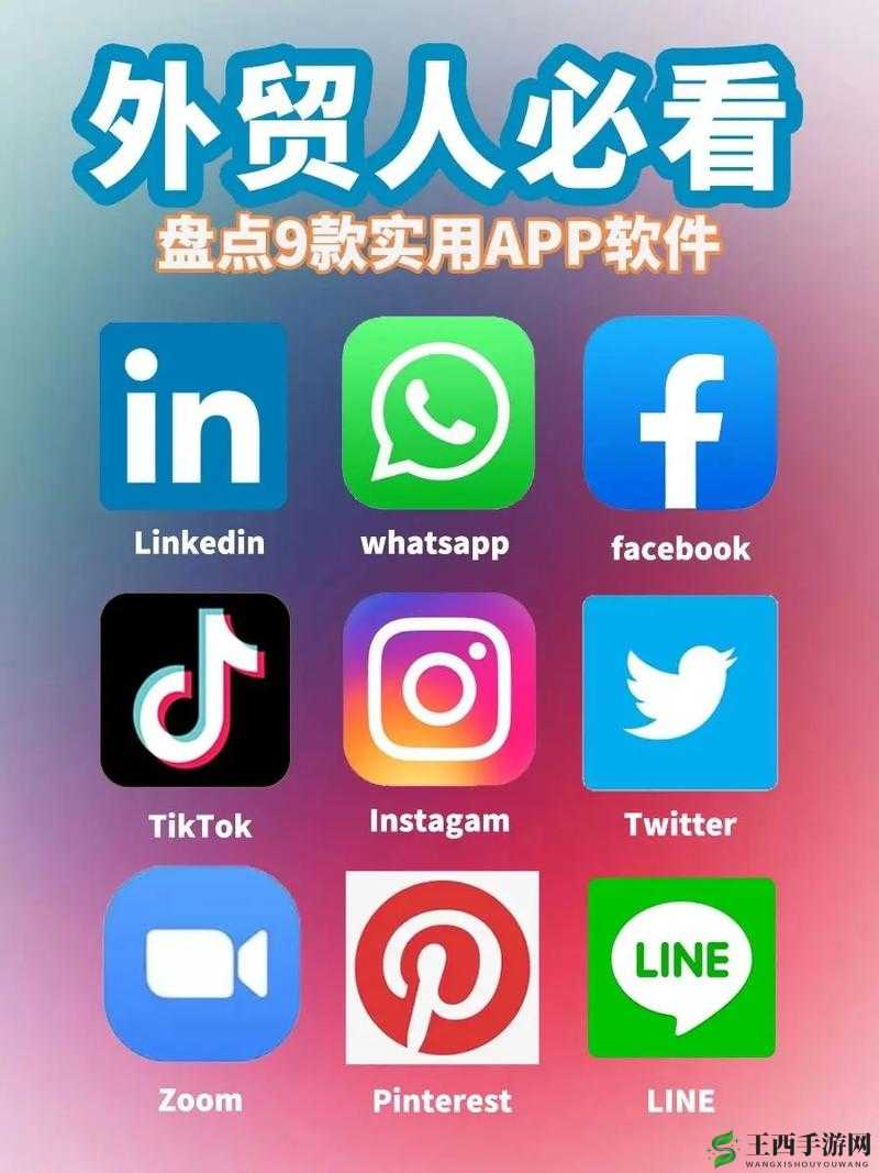 成品人APP软件下载：一款超实用的手机应用程序