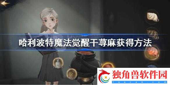 哈利波特魔法觉醒