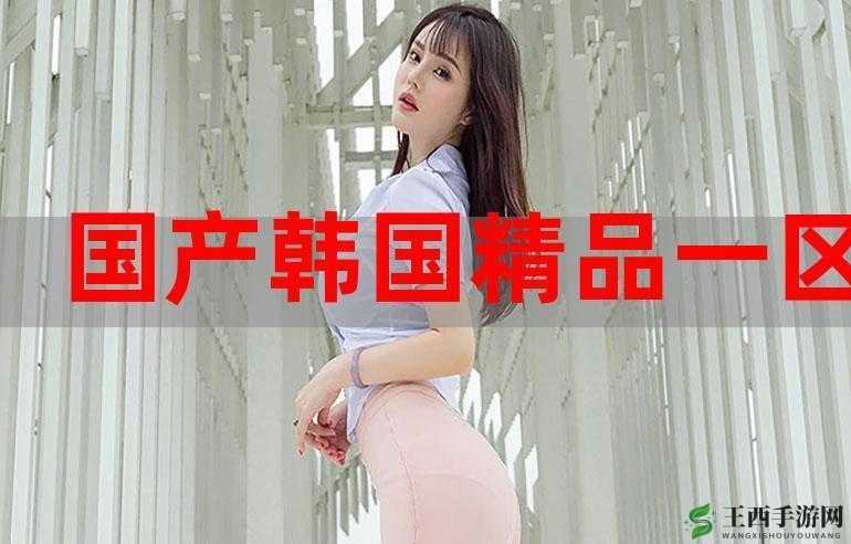 精品 chine 国产一二三区：优质内容的精彩呈现