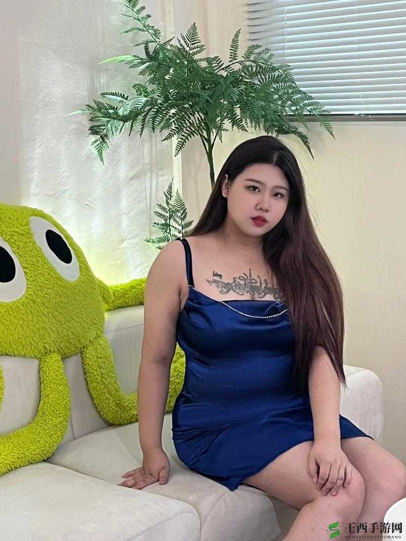 四川老妇女 BBwBBw 的独特生活故事与感悟