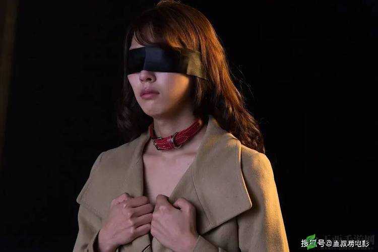 成年黄色视频：揭秘成人世界的另一面