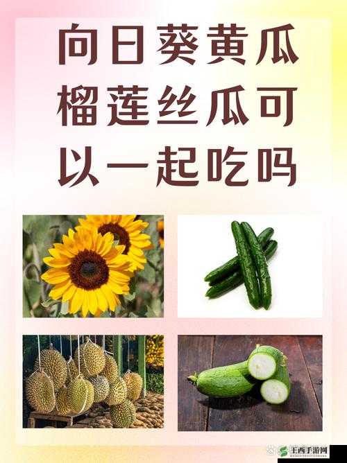 草莓丝瓜黄瓜向日葵榴莲：五种蔬果的奇妙组合