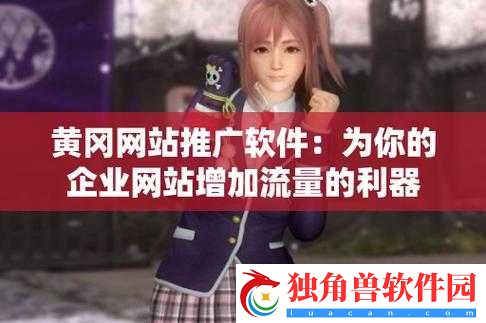 国外黄冈站推广软件