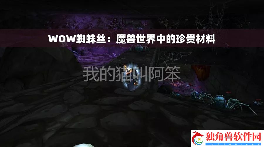 WOW蜘蛛丝