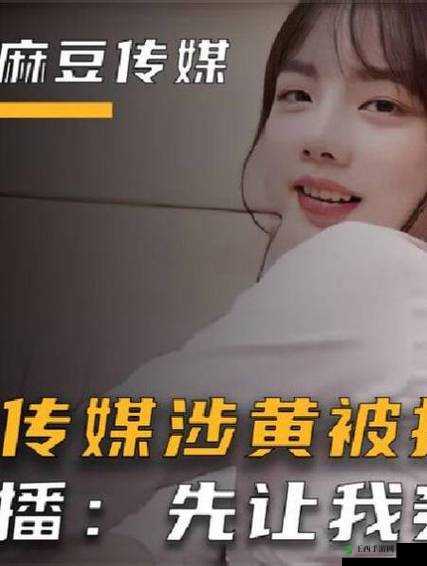 啊~你 TM 别 了麻豆入口:畅享精彩内容的独特入口