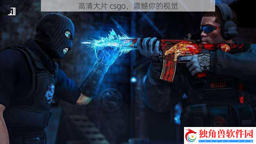 高清大片