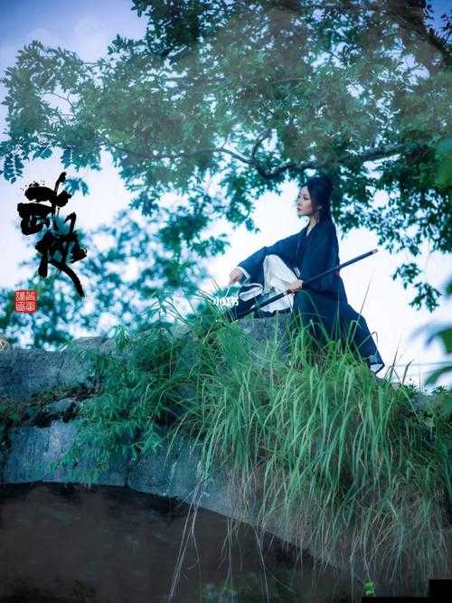 民儿初试风雨录：九回中的江湖恩怨与儿女情长