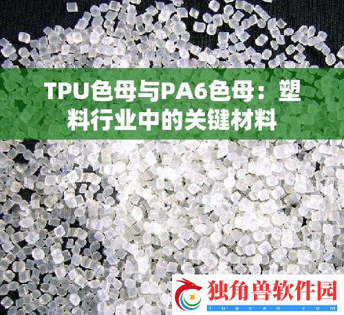 TPU色母与PA6色母