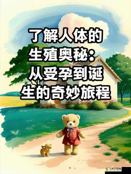 善交怀孕集合 23 部分：探索生命孕育的奥秘之旅