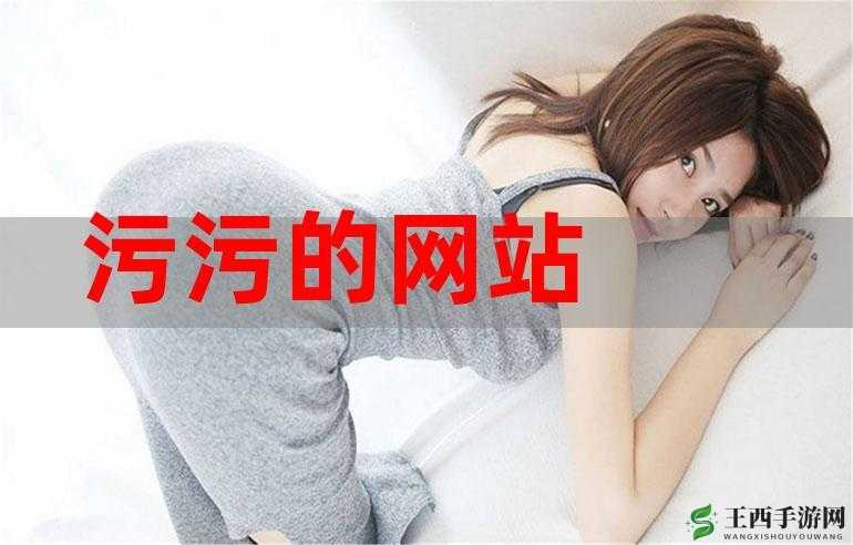 男女插孔污污污下载好色先生：成人资源的诱惑与风险