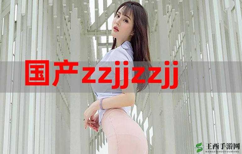 zzjj 日本相关话题探讨与分析