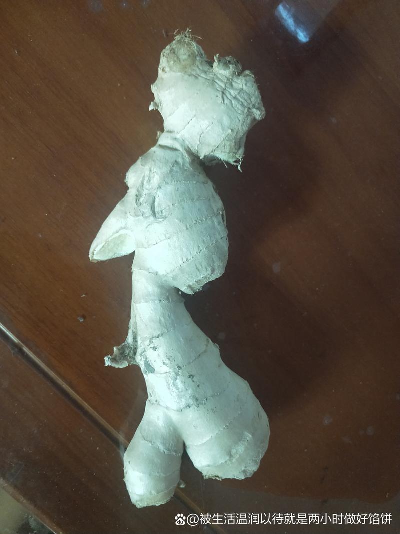 生姜走路:一种独特的行为艺术