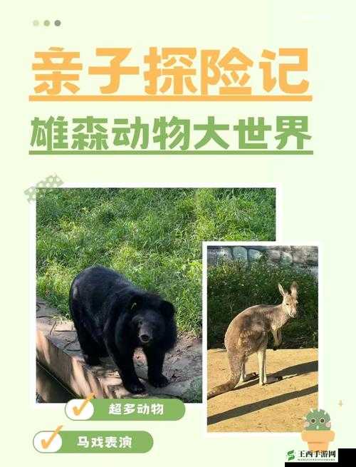 最新美国 ZOOM 动物的奇妙探索之旅