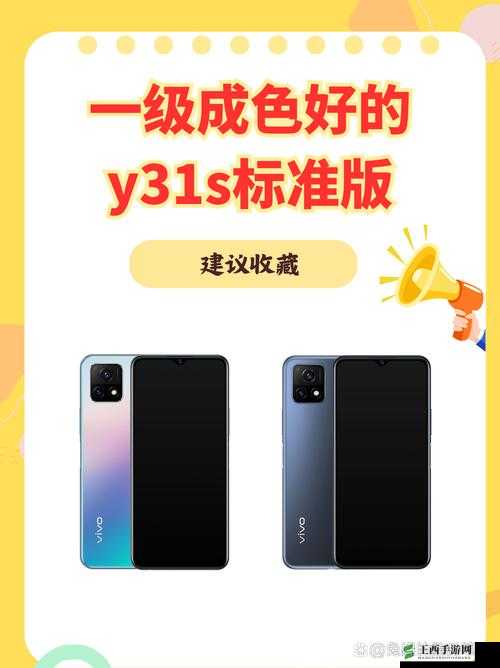探寻成色好的 y31s 标准版官网:带你了解其详细信息与购买渠道