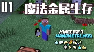 我的世界