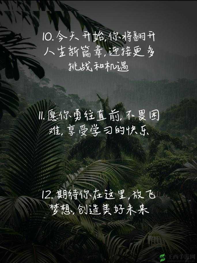 已满十八岁带好纸从此转人社会百态：开启人生新征程面对复杂新世界