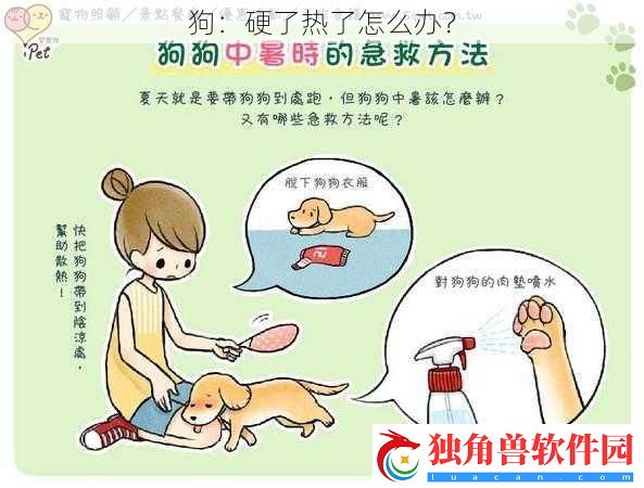 狗