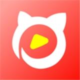 猫咪视频 APP,带你看遍天下猫咪