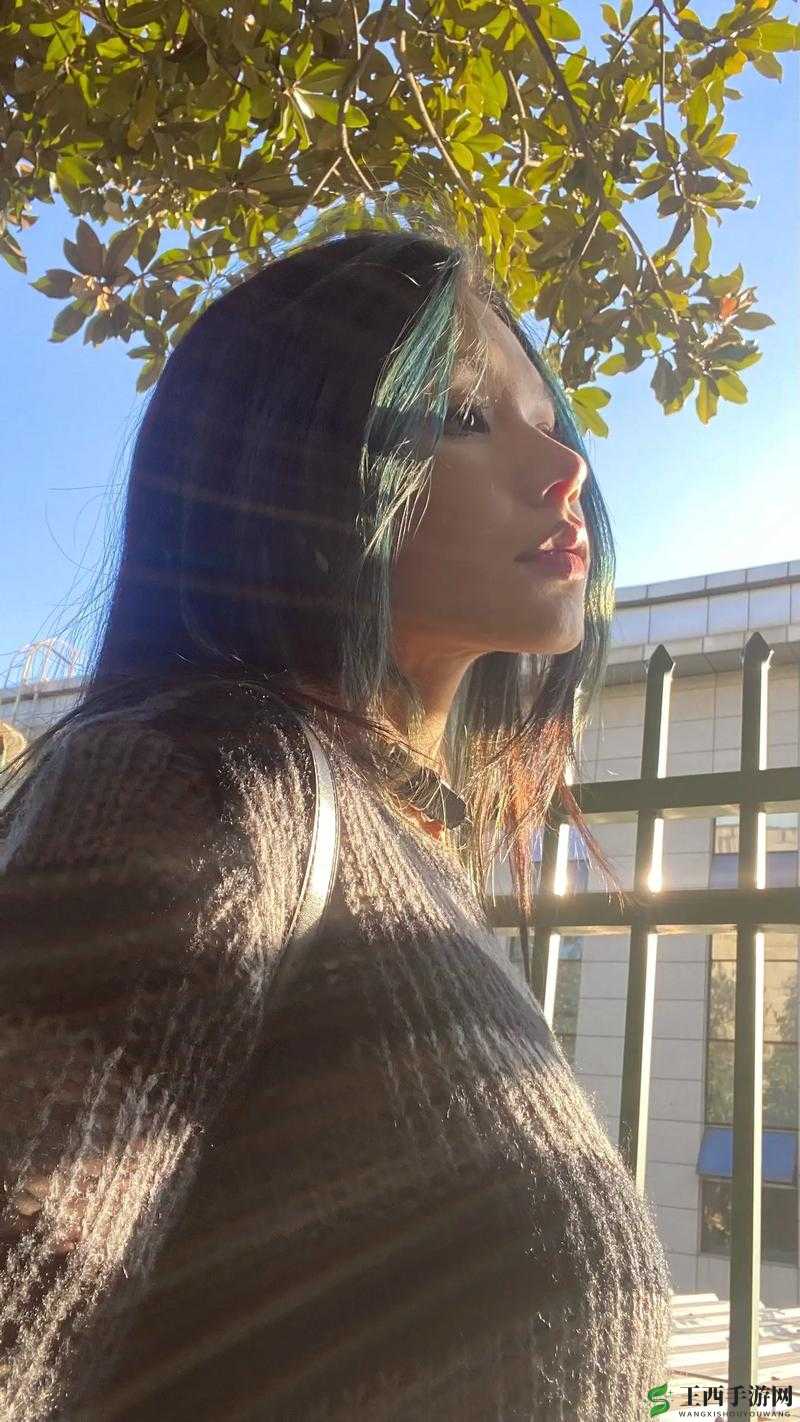 一级 BBBBBBBB 毛片：极致刺激的视觉盛宴