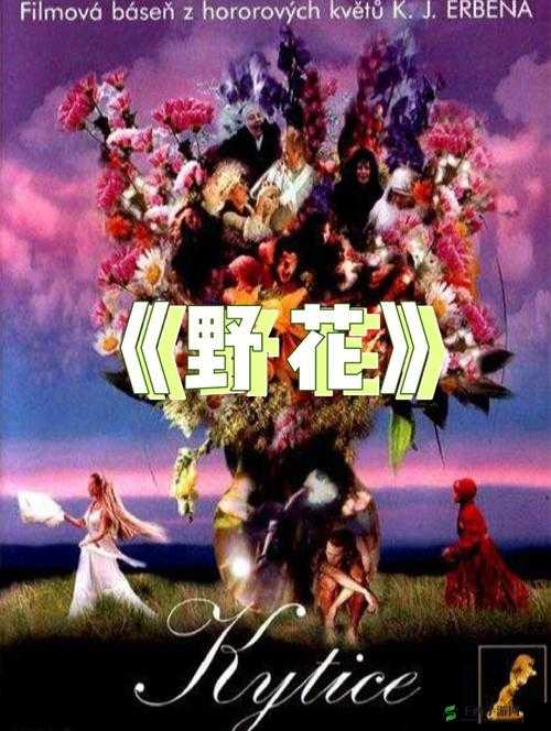 野花影视大全在线观看免费高清,精彩内容不间断
