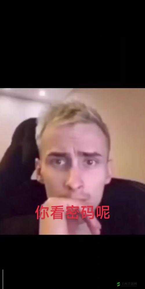 CSgo 毛子毛妹：从游戏角色到网络热梗的传奇之旅