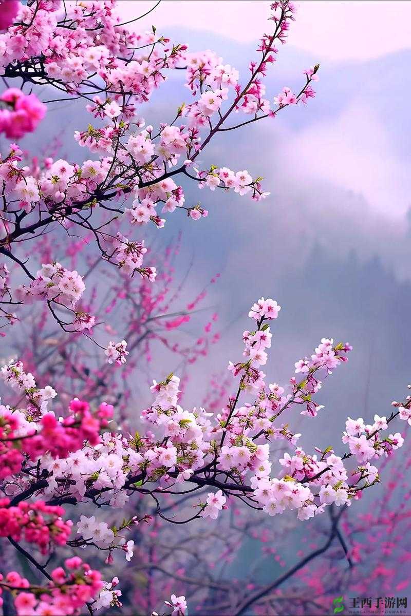灼灼桃花，国色天香：繁花似锦，惊艳时光