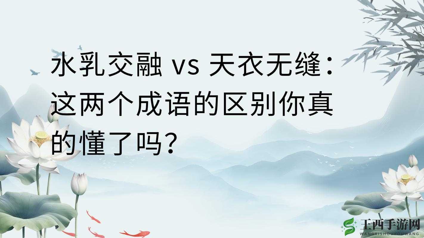 水乳融合和天衣无缝的区别：深度剖析两者的不同之处