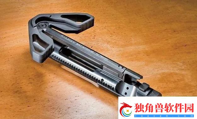 提枪直入两扇门