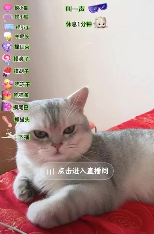 **直播:带你领略不一样的直播世界