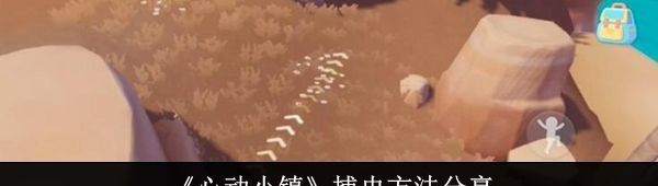 心动小镇捕虫方法分享