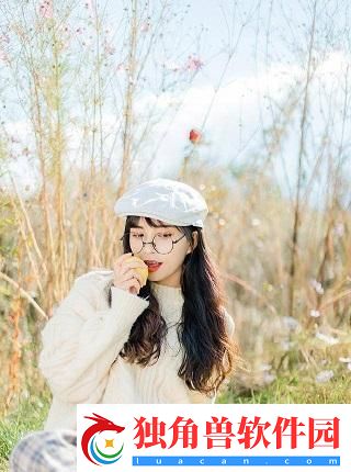 日产mv和欧美mv的区别