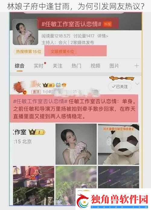 林娘子府中逢甘雨