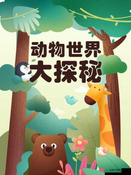 美国 ZOOM 动物 ZOOM:探索奇妙动物世界之旅