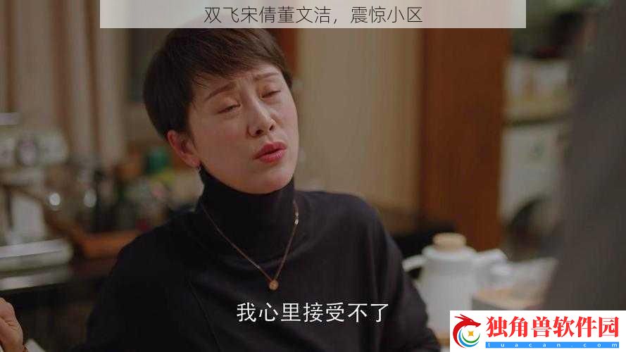 双飞宋倩董文洁-震惊小区