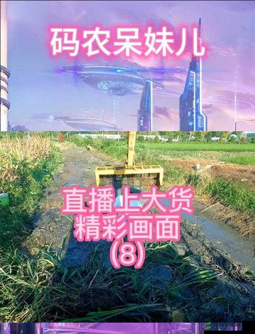 花蜜直播,畅享精彩互动直播盛宴