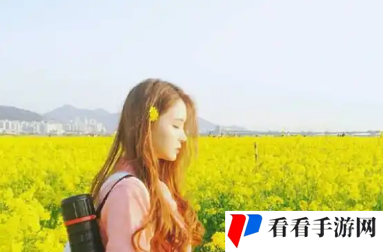 日韩欧洲亚洲suv：值得一试的