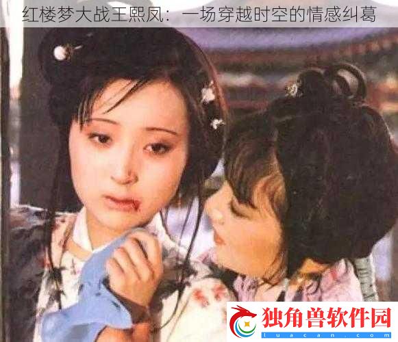 红楼梦大战王熙凤：一场穿越时空的情感纠葛