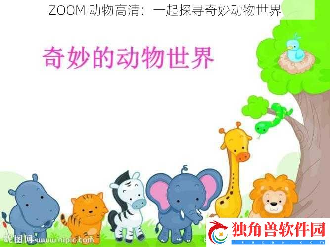 ZOOM-动物高清：一起探寻奇妙动物世界