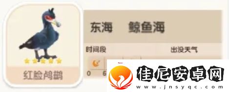 心动小镇红脸鸬鹚位置在哪里红脸鸬鹚位置一览