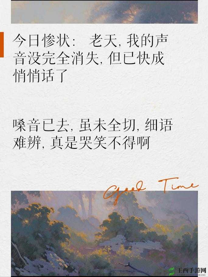 东北 45 岁这声音也没谁了:令人惊叹的独特嗓音背后的故事