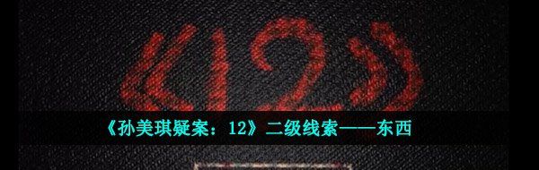 孙美琪疑案12二级线索东西在哪-二级线索东西位置介绍