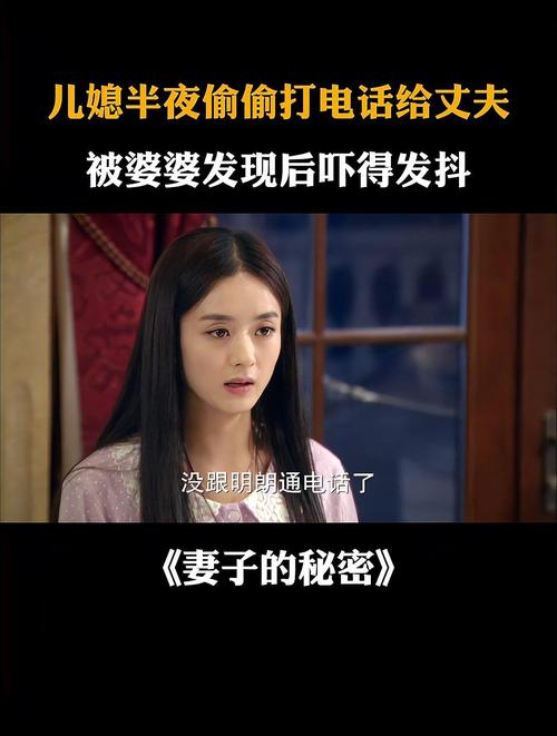 妻子的秘密:被隐藏的真相