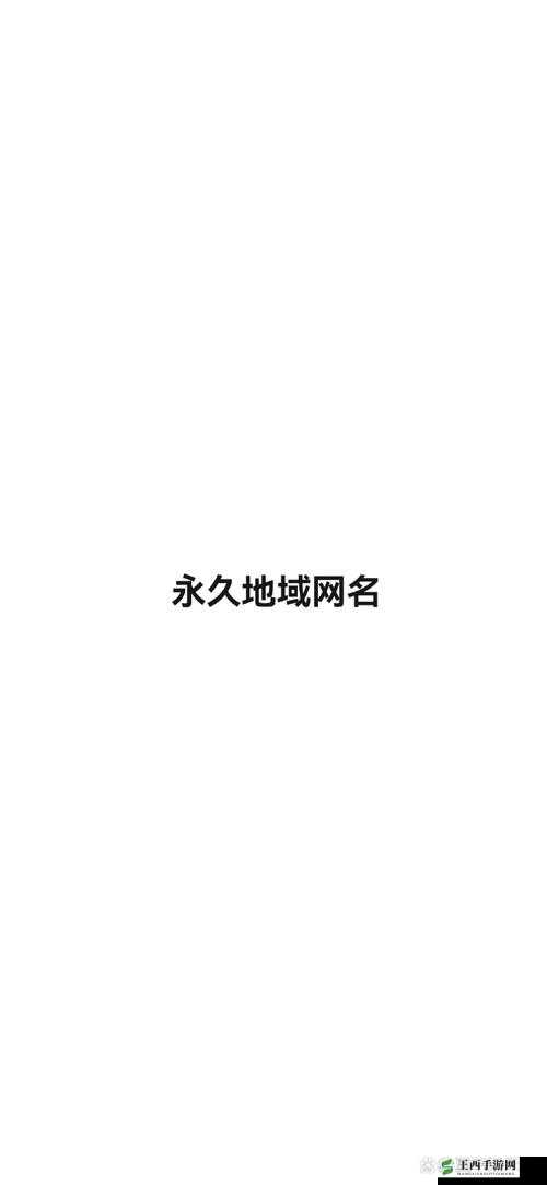 四库永久地域网名 2024:探索未知领域的独特标识
